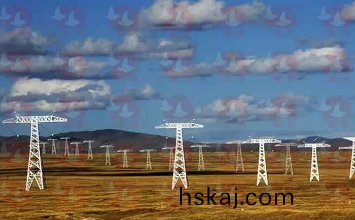 電力(li)行業(ye)使用(yong)雙鳥(niao)電(dian)動葫(hu)蘆